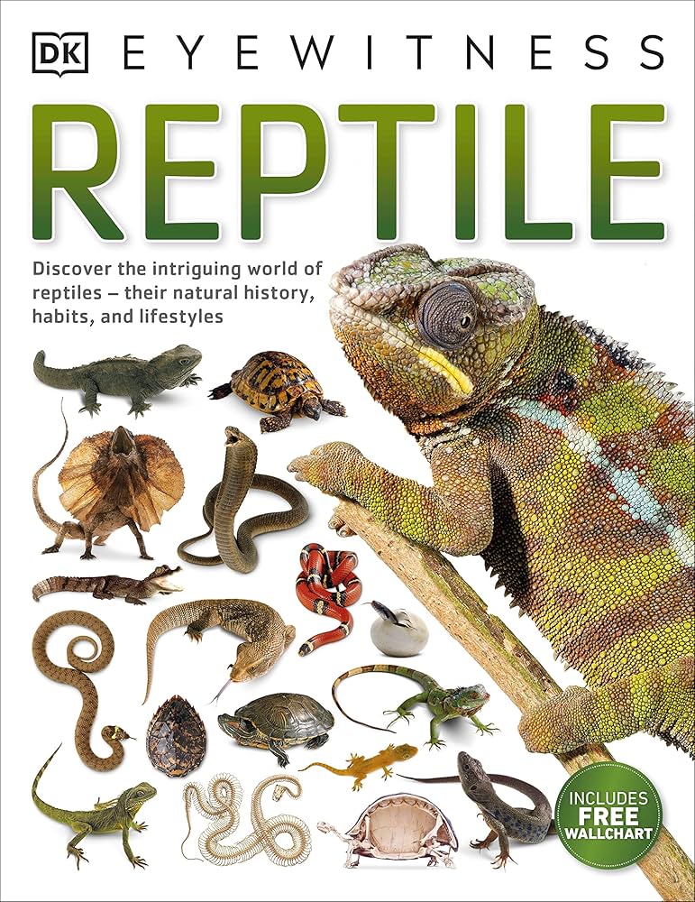 Amazon | Reptile (DK Eyewitness) | McCarthy, Colin | Diseases